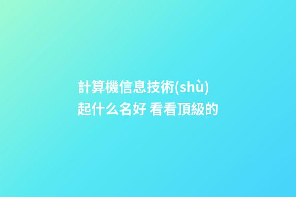 計算機信息技術(shù)起什么名好 看看頂級的-第1張-公司起名-玄機派